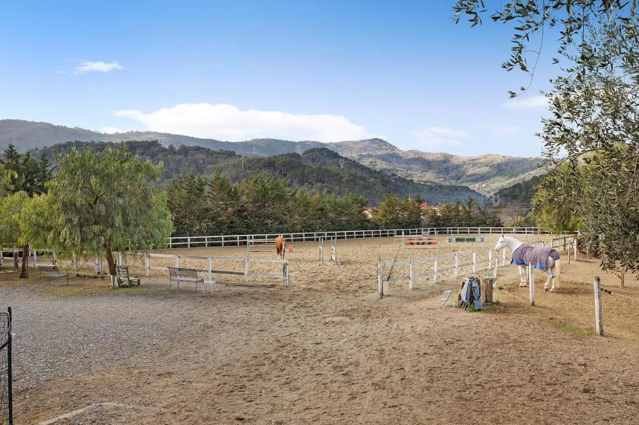 Messalina Agriturismo La Scuderia Molino Nuovo  Bagian luar foto